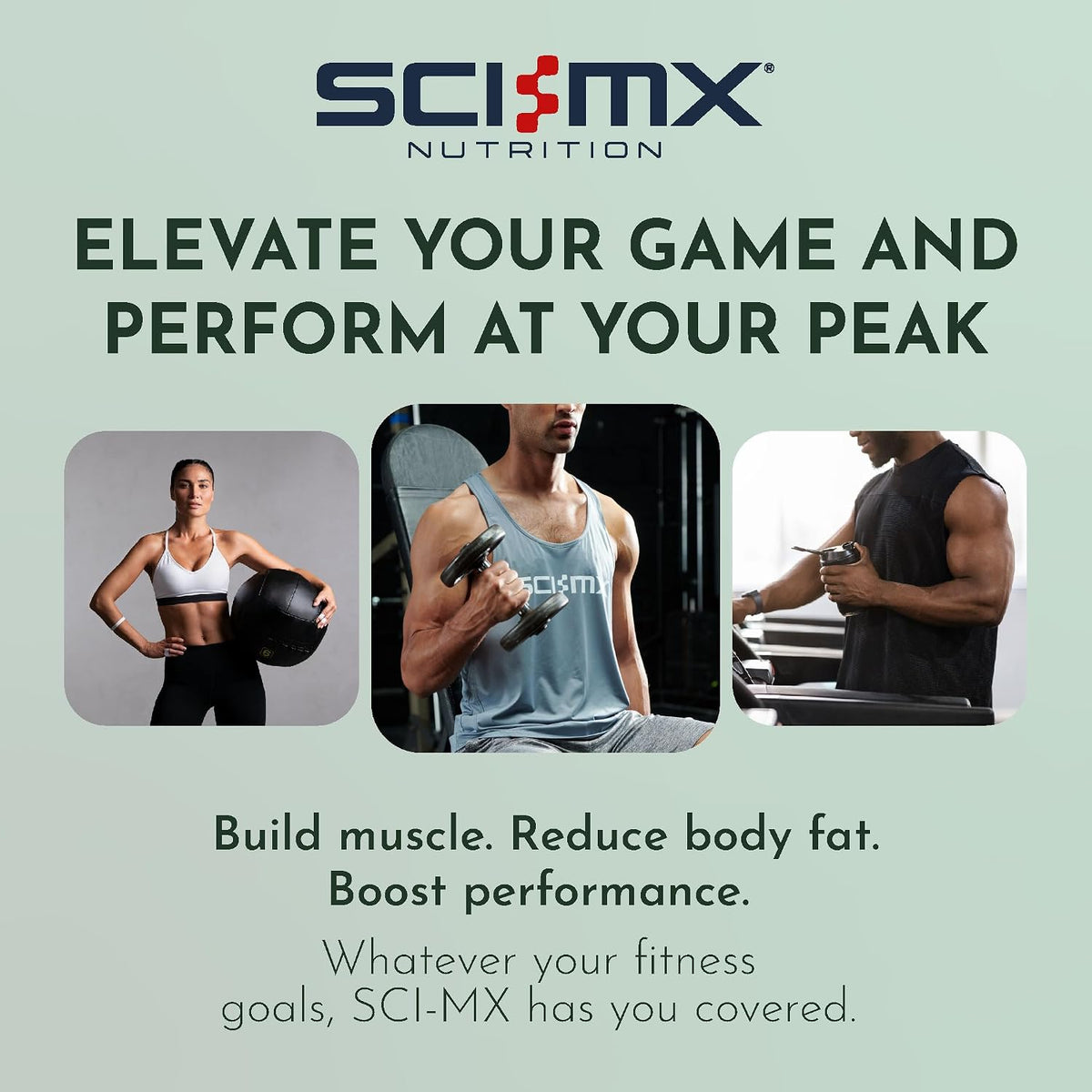 Sci-Mx Nutrition Pro V-Gain Protein 2.2kg