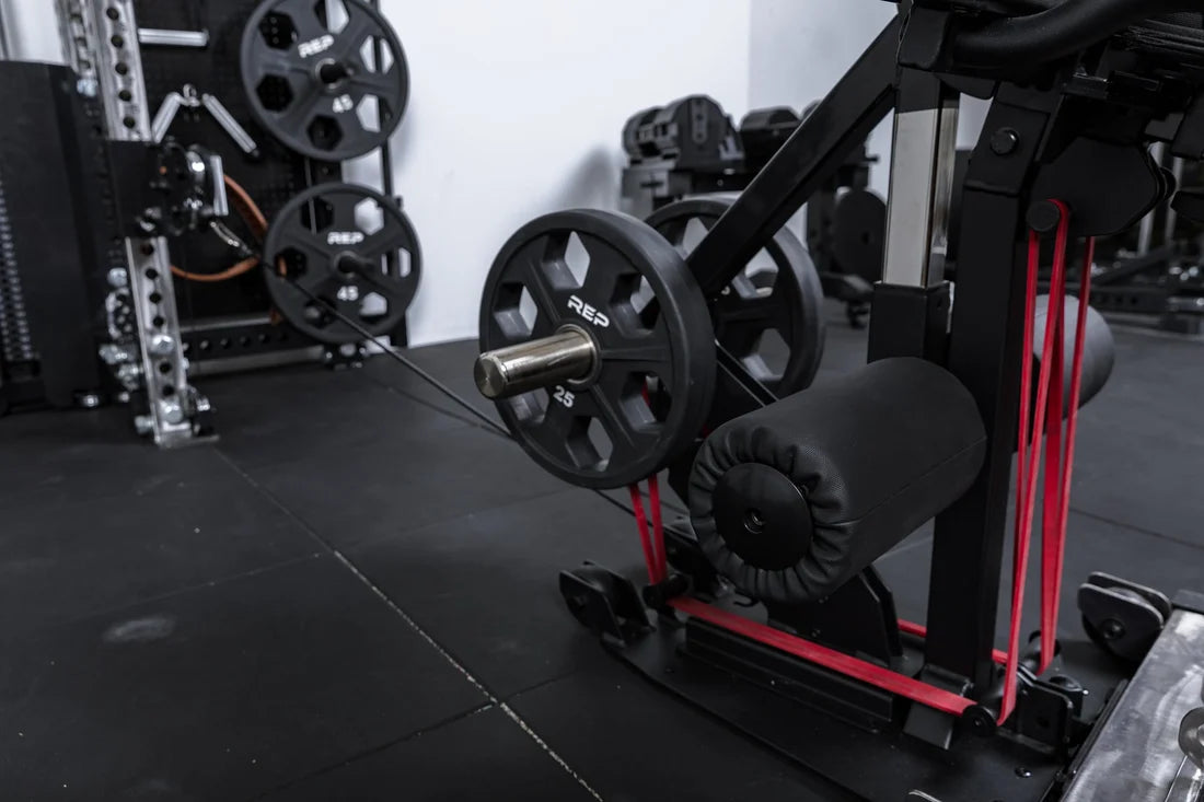 Leg Extension & Leg Curl Bench Base Attachment
