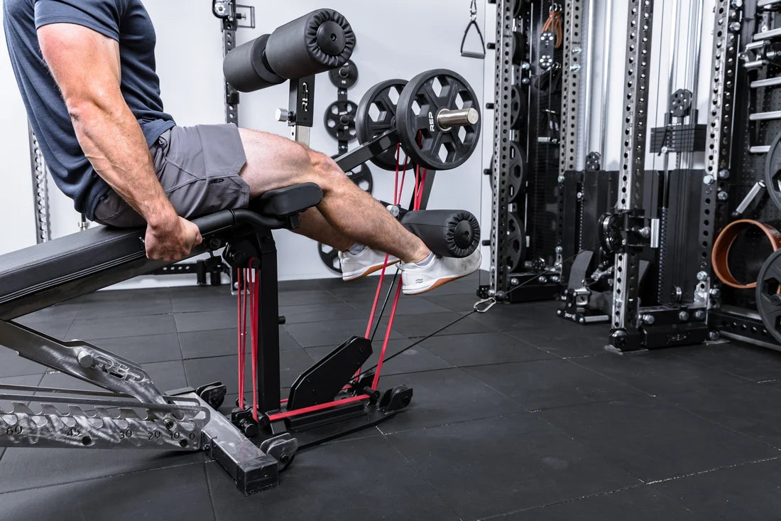 Leg Extension & Leg Curl Bench Base Attachment